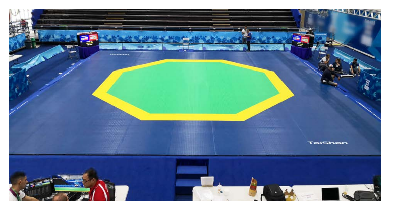 Taekwondo Mats (new octangle type)